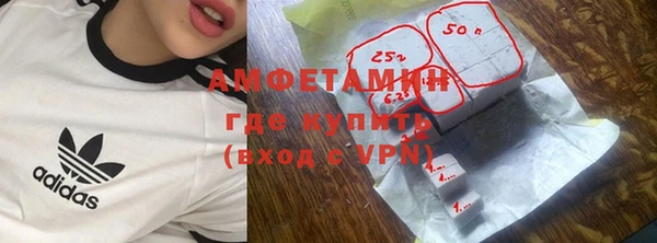 индика Костерёво