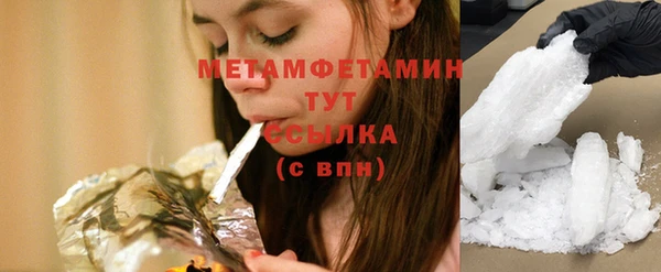 индика Костерёво