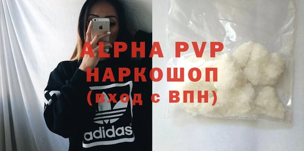 индика Костерёво