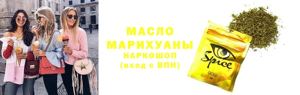 индика Костерёво