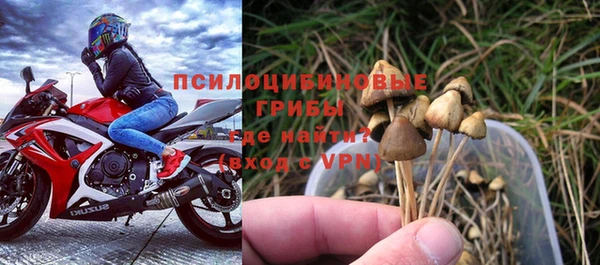 индика Костерёво