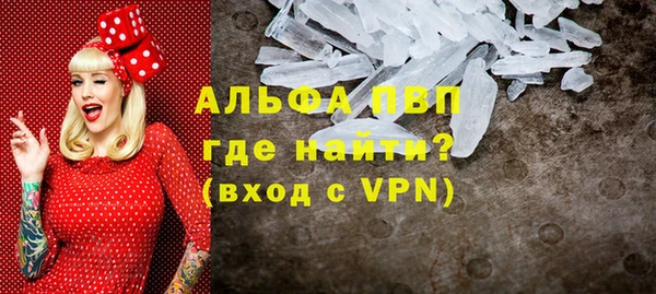 индика Костерёво