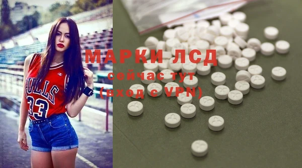 индика Костерёво