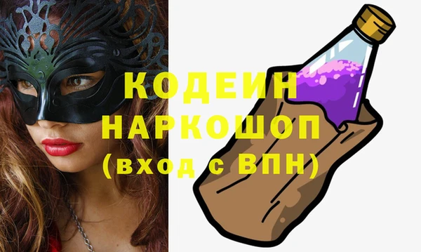 индика Костерёво