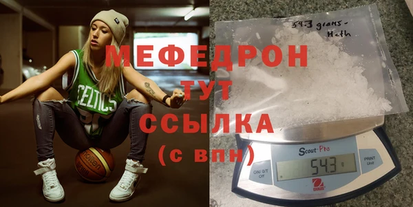индика Костерёво