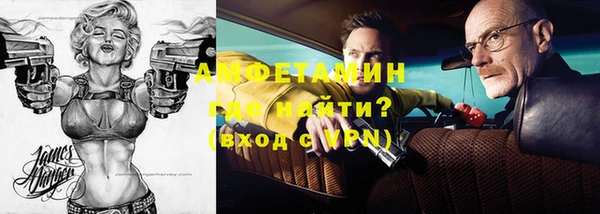 индика Костерёво
