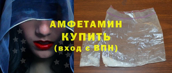 индика Костерёво