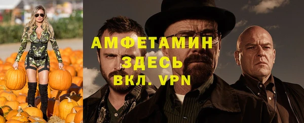 индика Костерёво