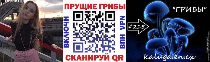 Купить  Шумиха  Галлюциногенные грибы мицелий 